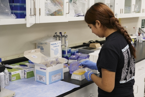 A neuroscience students working in the Schwartzer lab
