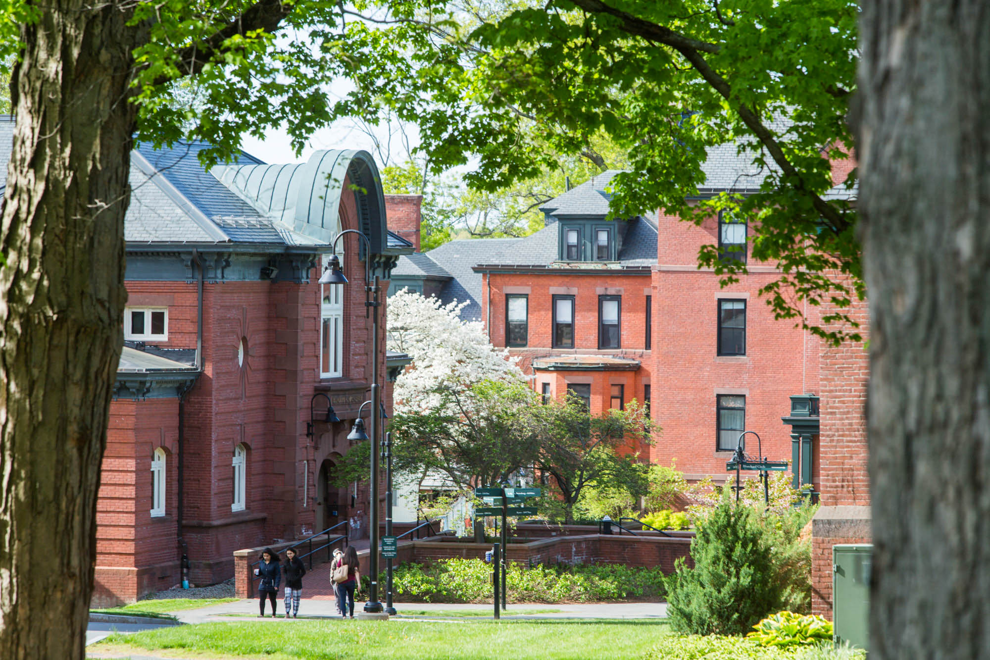 Campus Center from between two trees. Photo taken by Ryan Donnell May 2017.