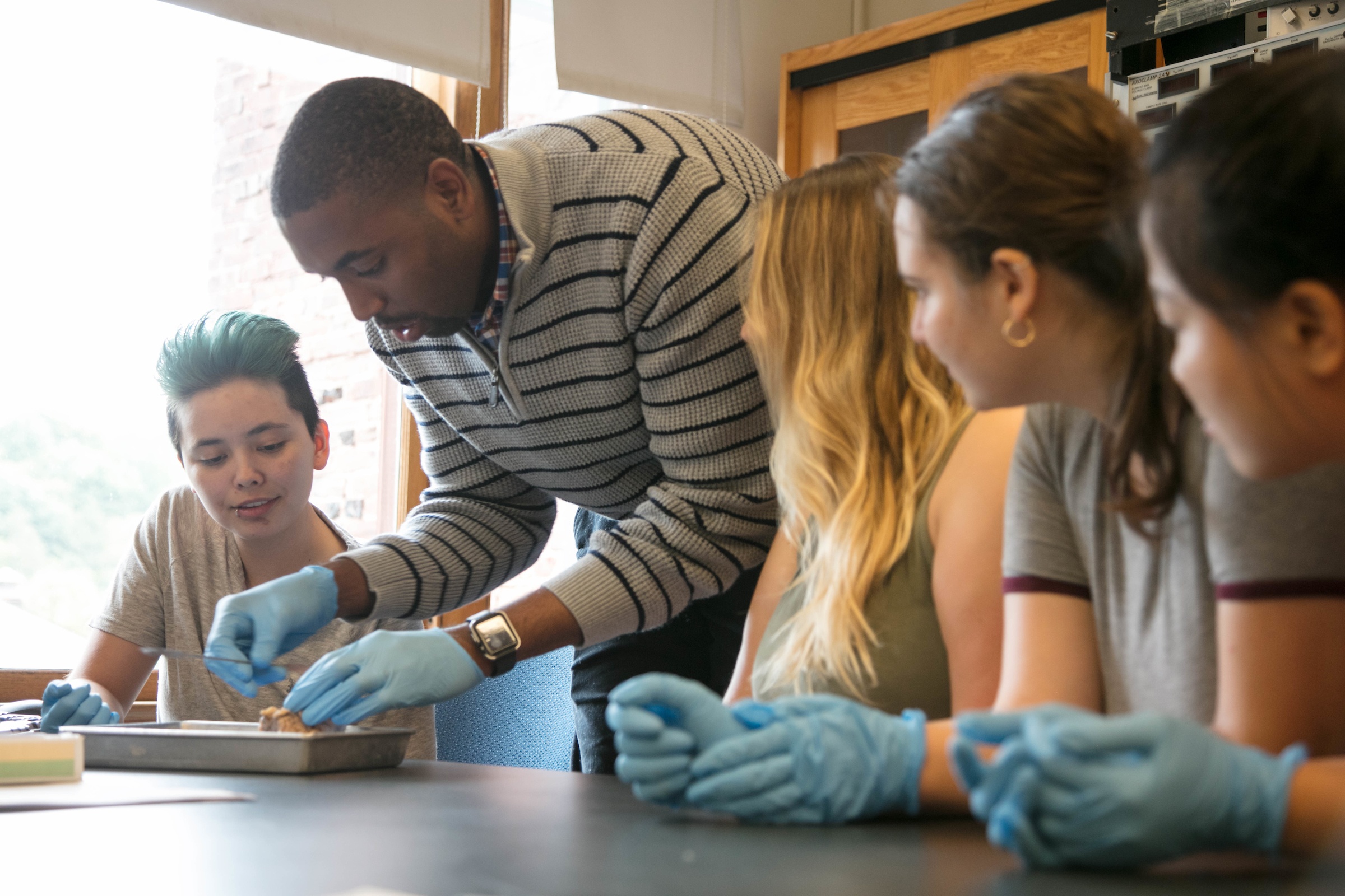 Bachelor of Arts in Biological Science | Mount Holyoke