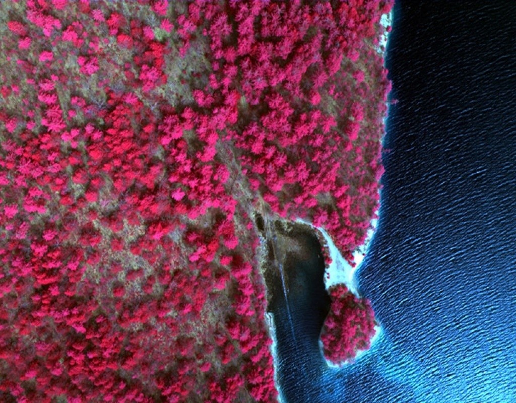 A color infrared sample image taken over the Quabbin Reservoir