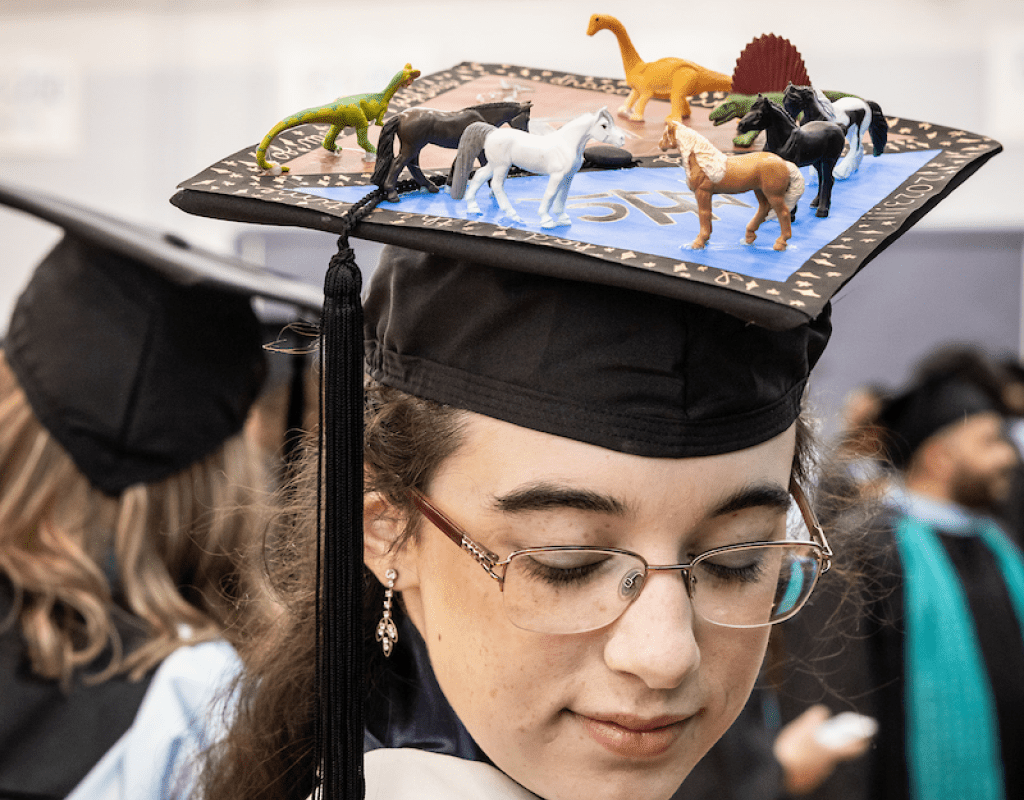 A student wearing a mortar board decorated with both horses and dinosaurs