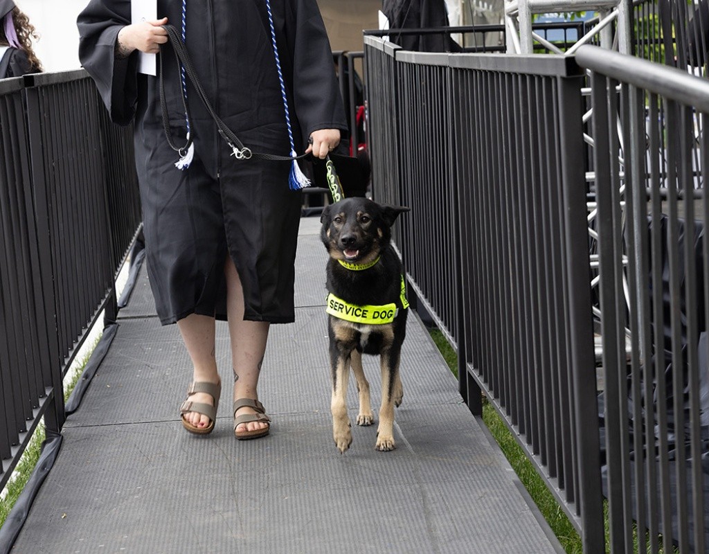 Mount Holyoke Commencement 2024 - Student leaves the stage with her service animal