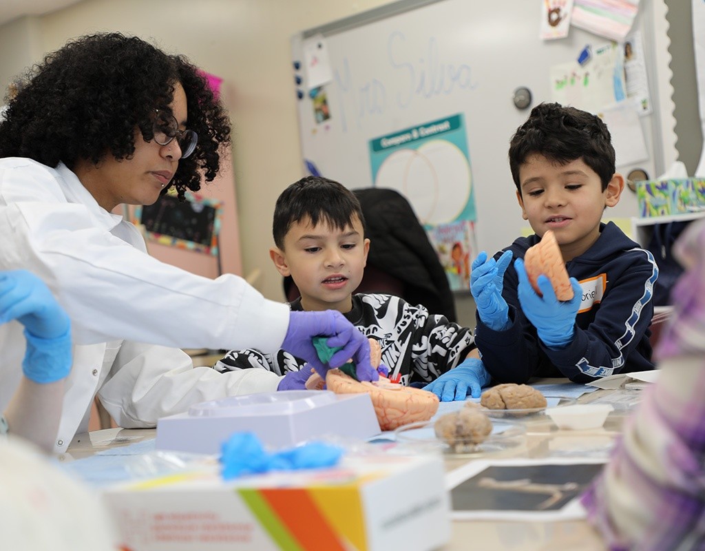 Students look on at a brain activity workshop.
