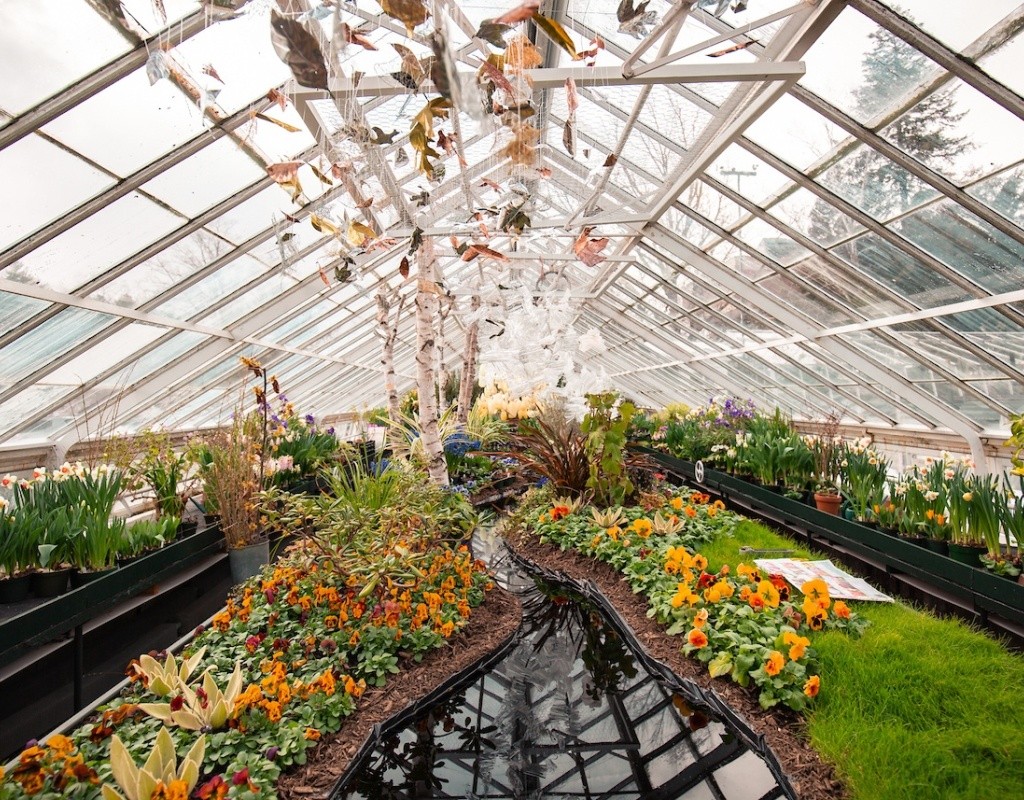 Interior of the Talcott Greenhouse during the annual flower show in 2019