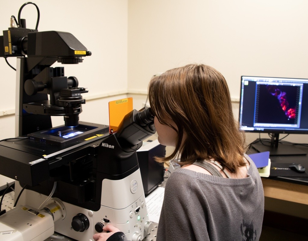 A neuro student working in the Colodner lab