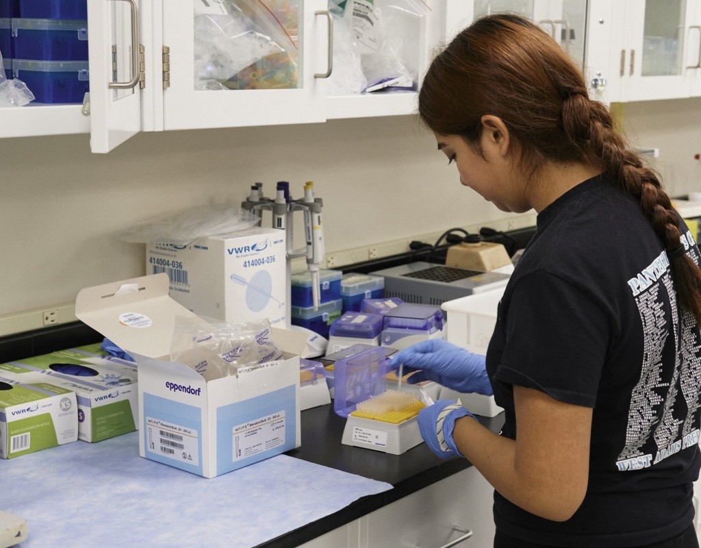 A neuroscience students working in the Schwartzer lab