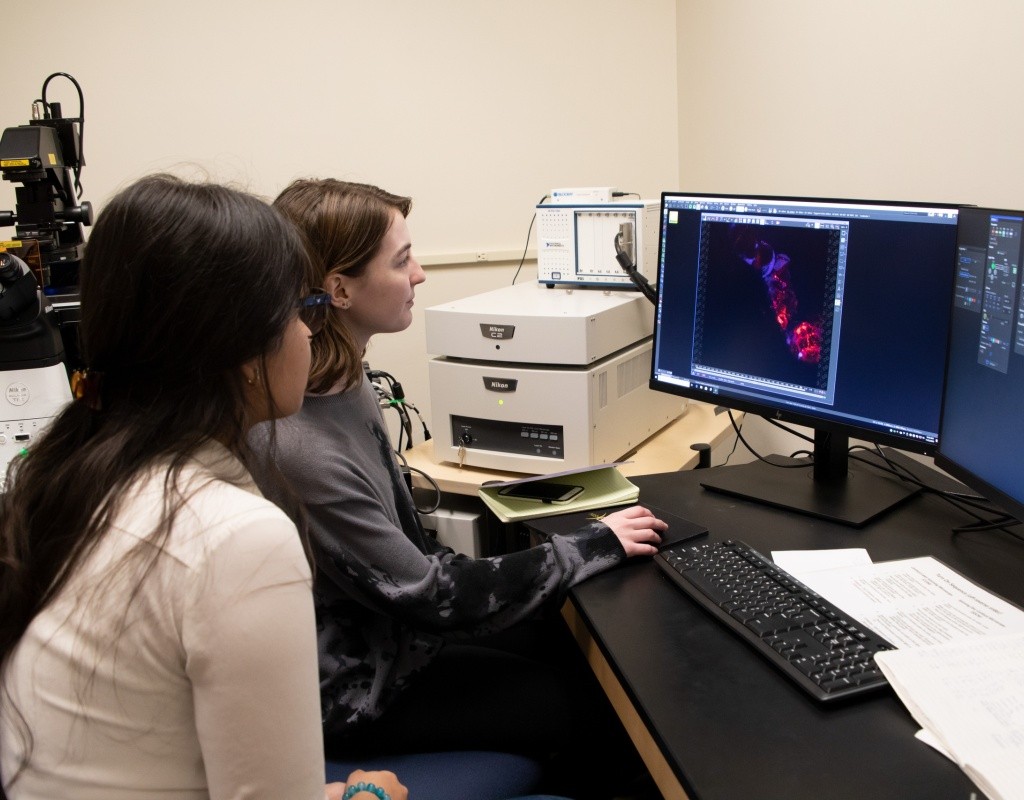 Neuroscience students working with equipment in a lab