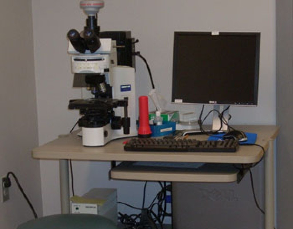 Olympus BX41 fluorescence microscope