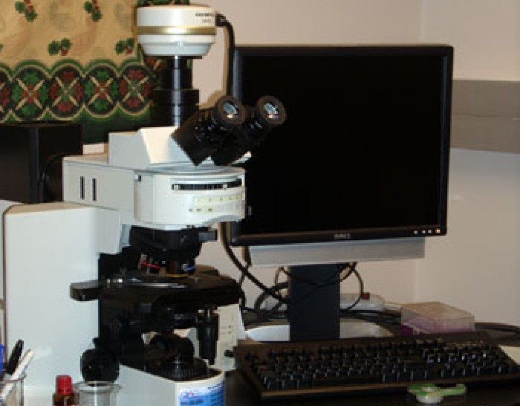 Olympus BX51 reflected light microscope