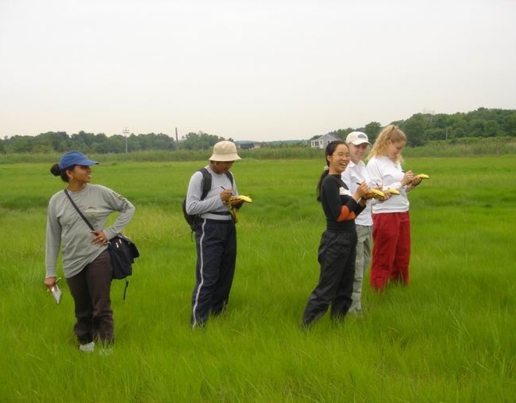 Students on the Plum Island Sound Long-Term Ecological Research Site.