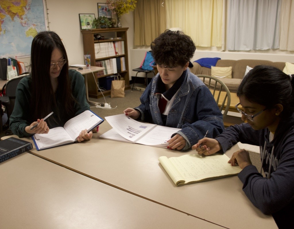 Psychology students doing data analysis