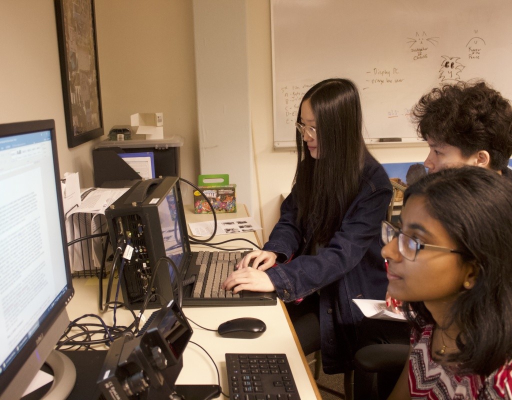 Psychology students studying data from eye tracking equipment
