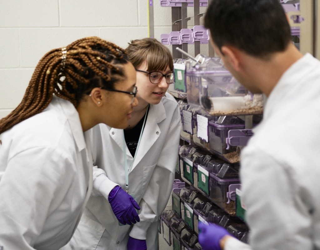 Pyschology students observing a research experiment