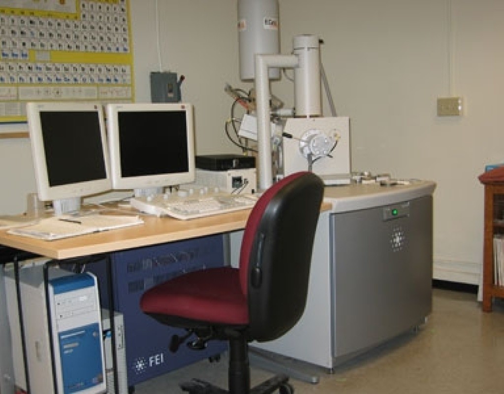 The FEI Quanta 200 SEM operates in three vacuum modes: conventional high vacuum, low vacuum and environmental mode.