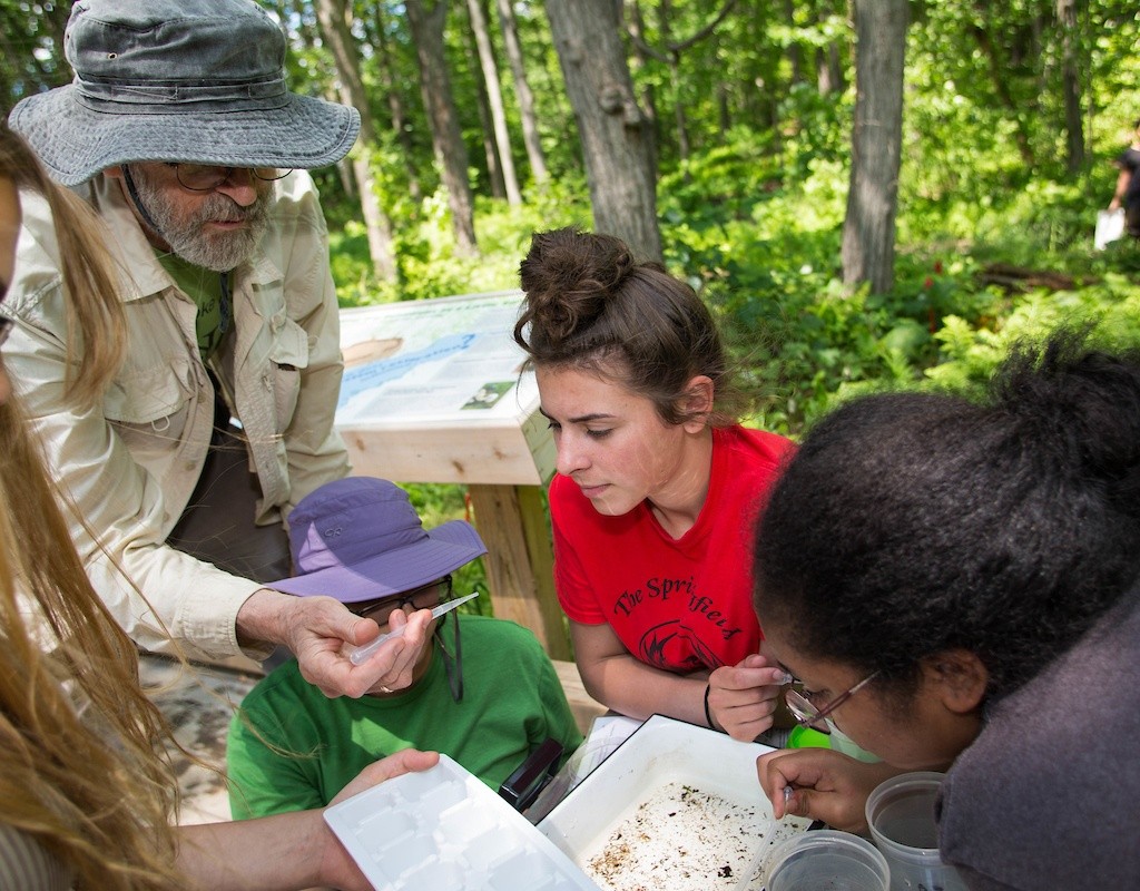 Students looking at a water sample in a pipette