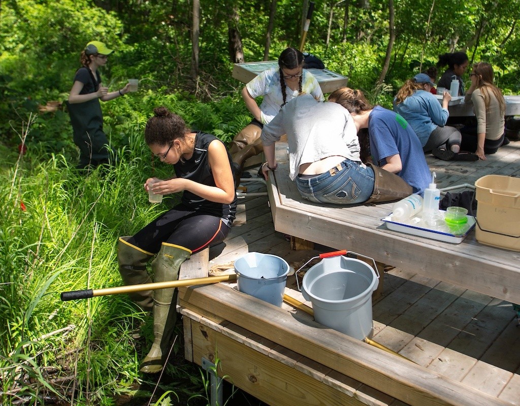 Restoration Ecology students investigating samples taken near the Project Stream boardwalk