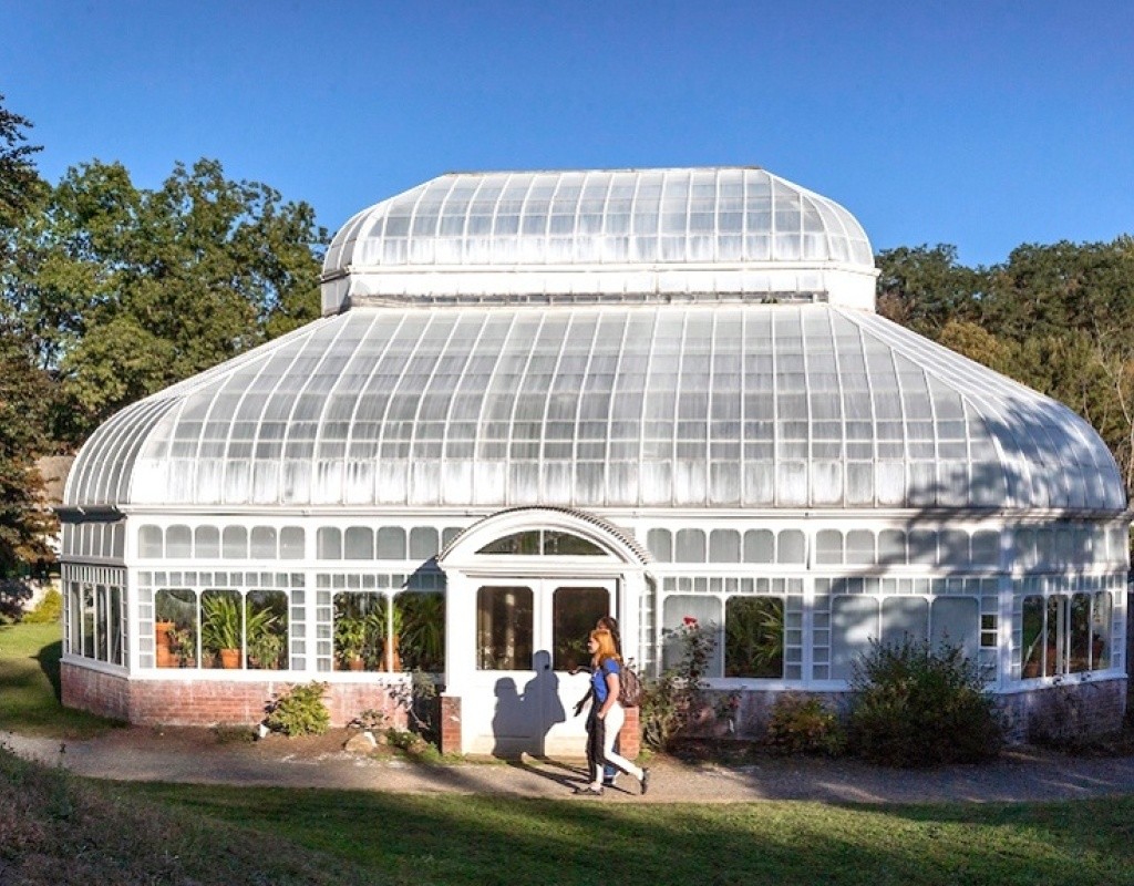 Talcott Greenhouse