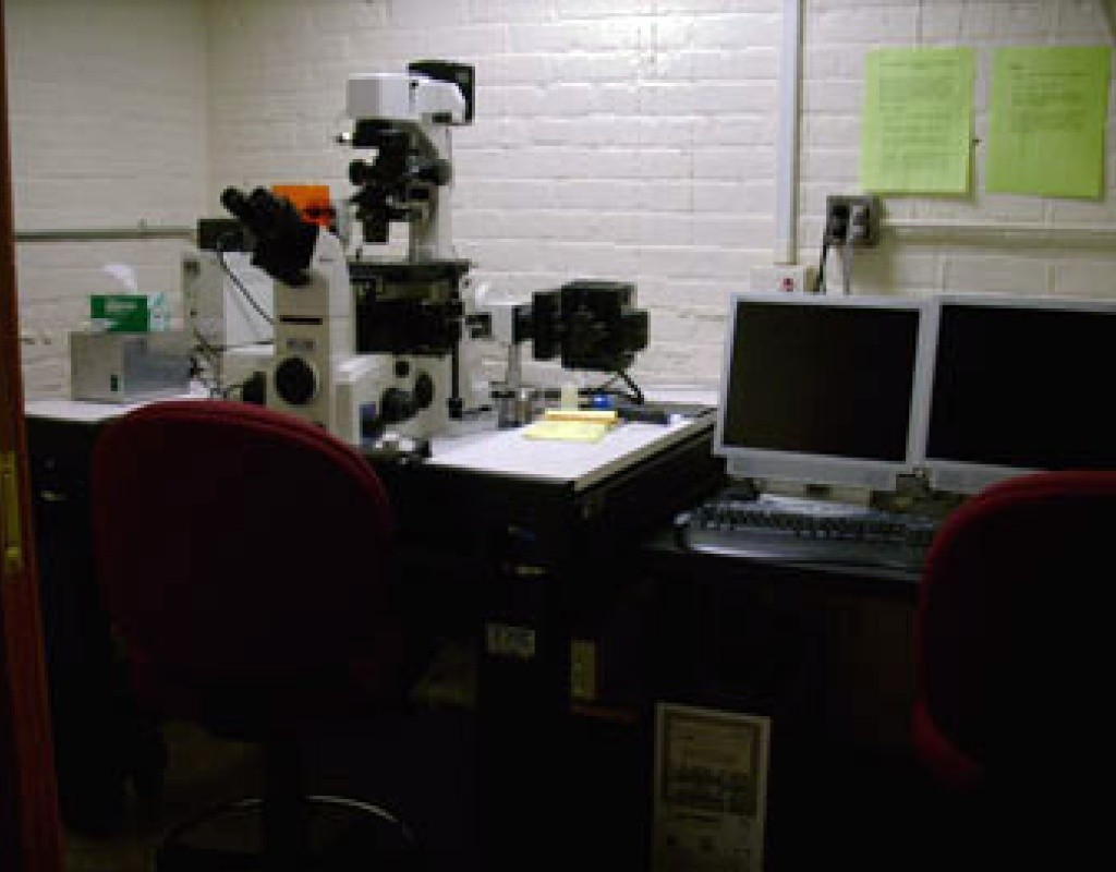 Nikon TE2000 fluorescence microscope