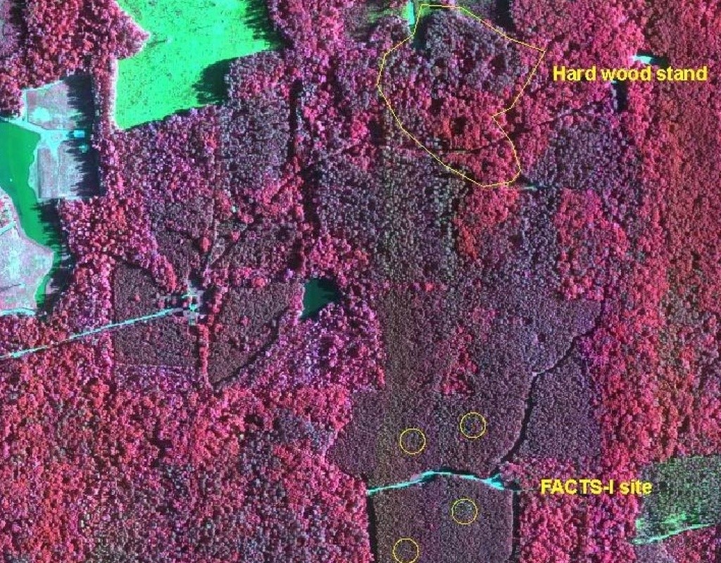 AIMS1 imagery of the Duke Forest