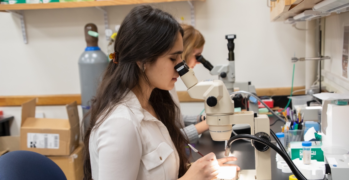 A student using a microscope in a neuroscience lab