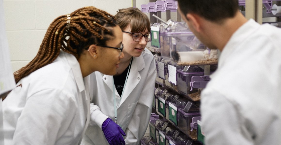 Pyschology students observing a research experiment