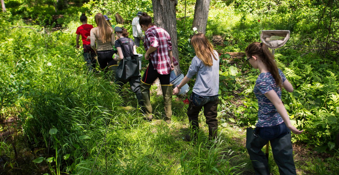 Restoration Ecology students walking toward a stream caryying buckets and tools