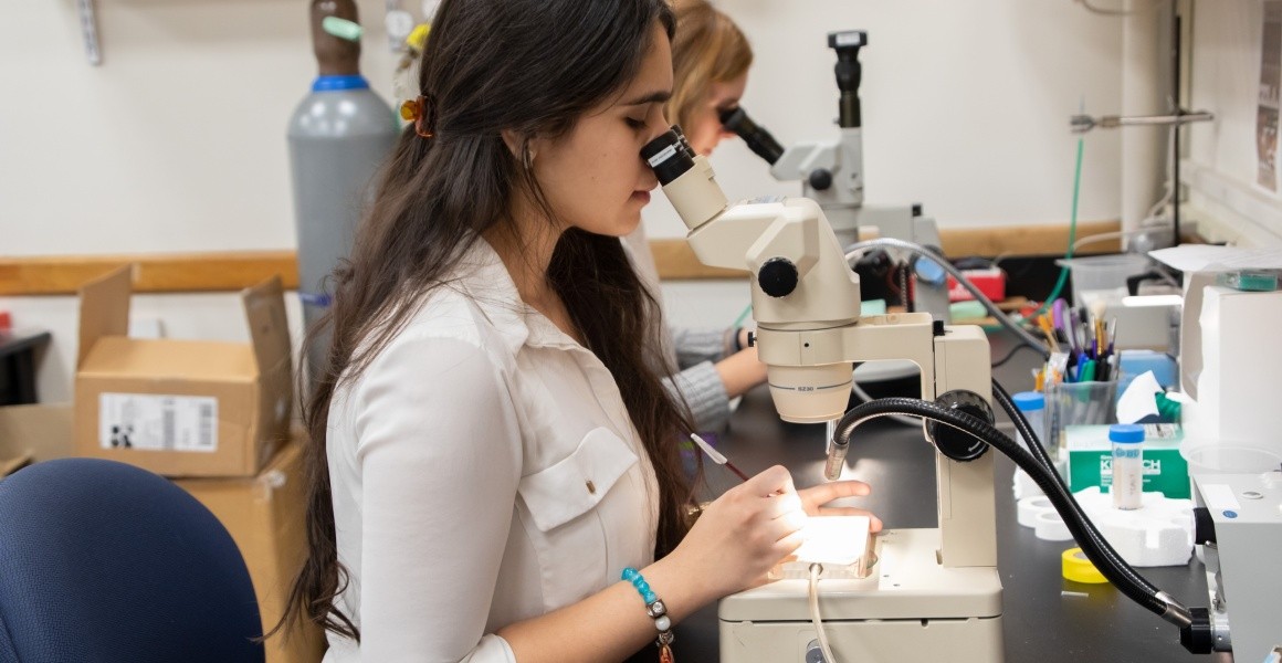 A student using a microscope in a neuroscience lab