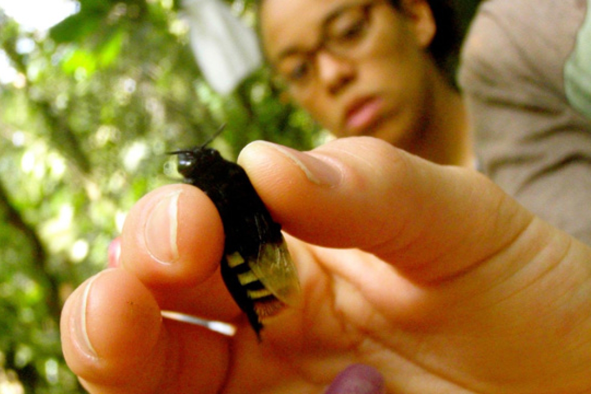 Kiana Lussier holding a firefly in Costa Rica
