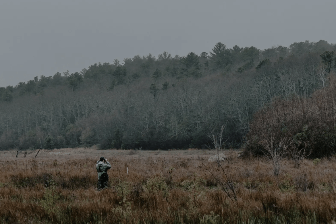 Professor Kate Ballantne looking through binoculars while standing in a cranberrgy bog