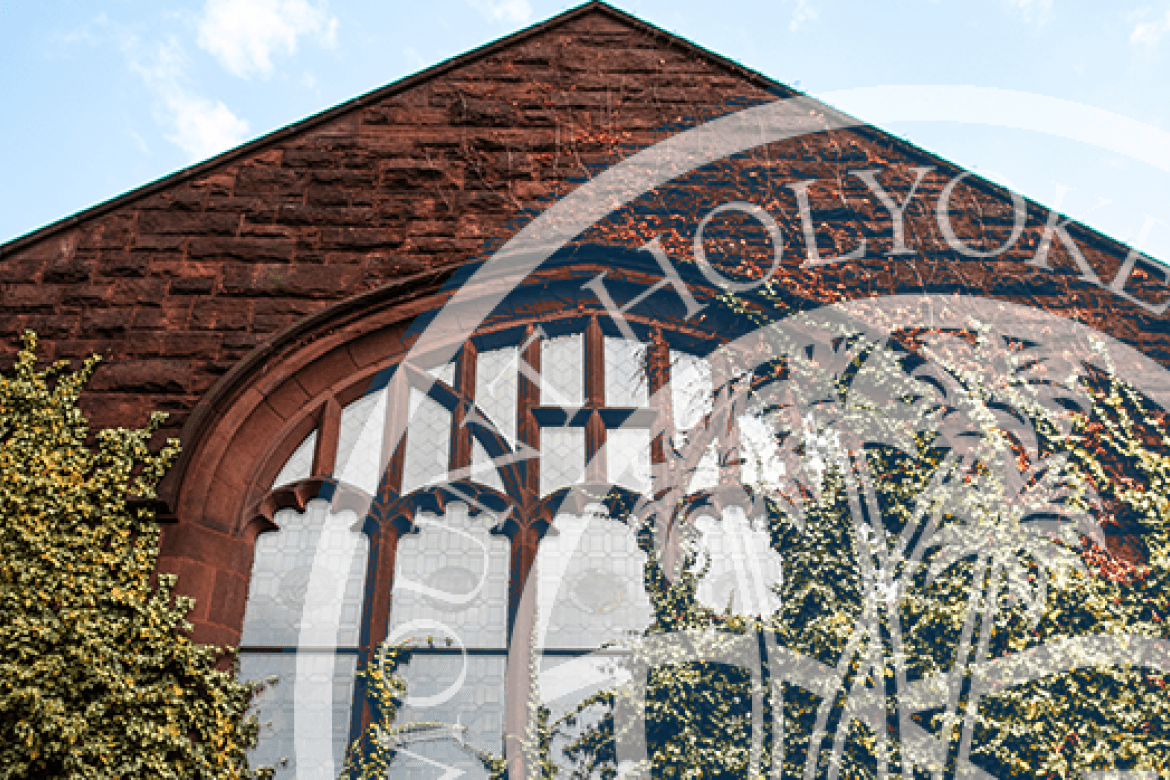 Close-up photo of a window surrounded by ivy