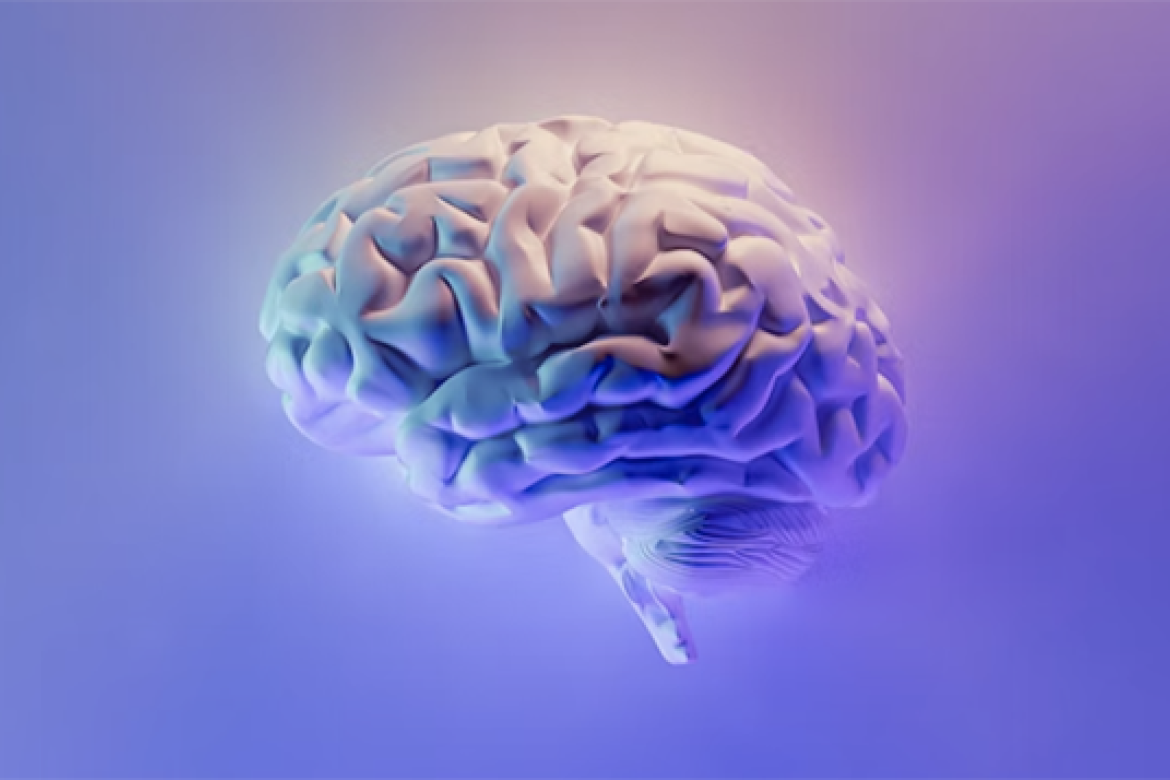 Image of a brain (MRI)
