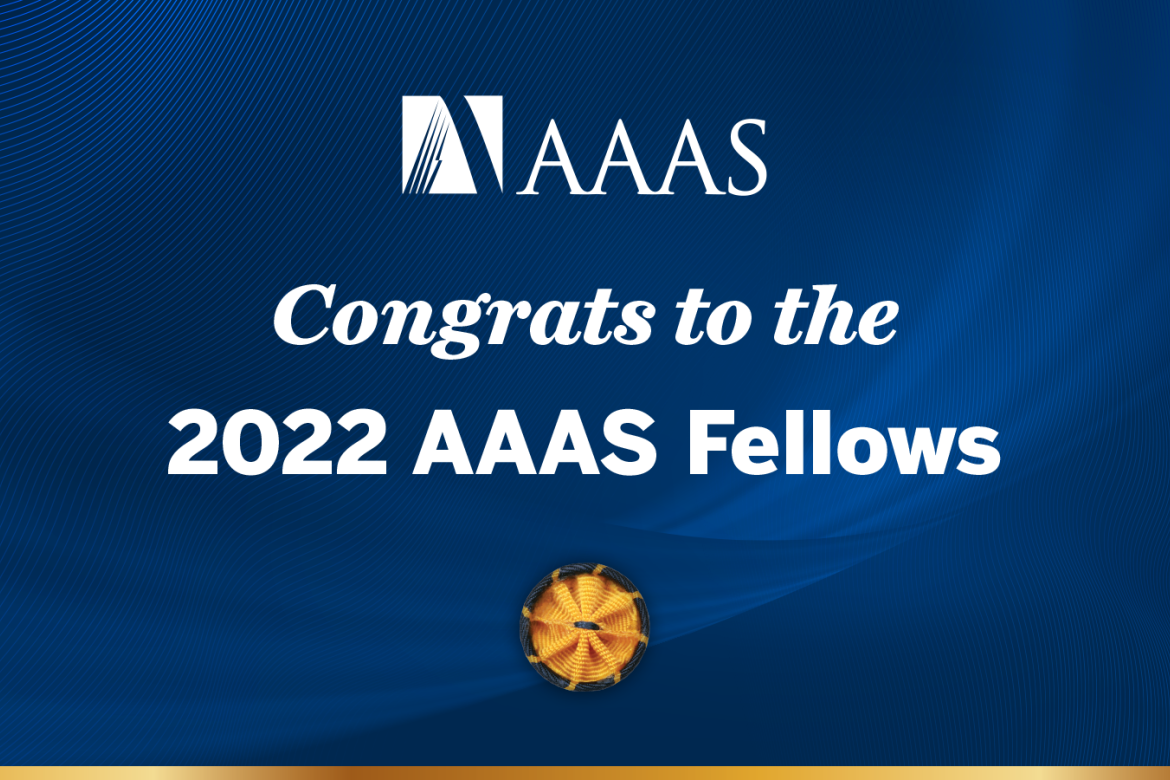 Brennan joins the ranks of the more than 30 faculty members awarded the honor of being an AAAS Fellow at Mount Holyoke.