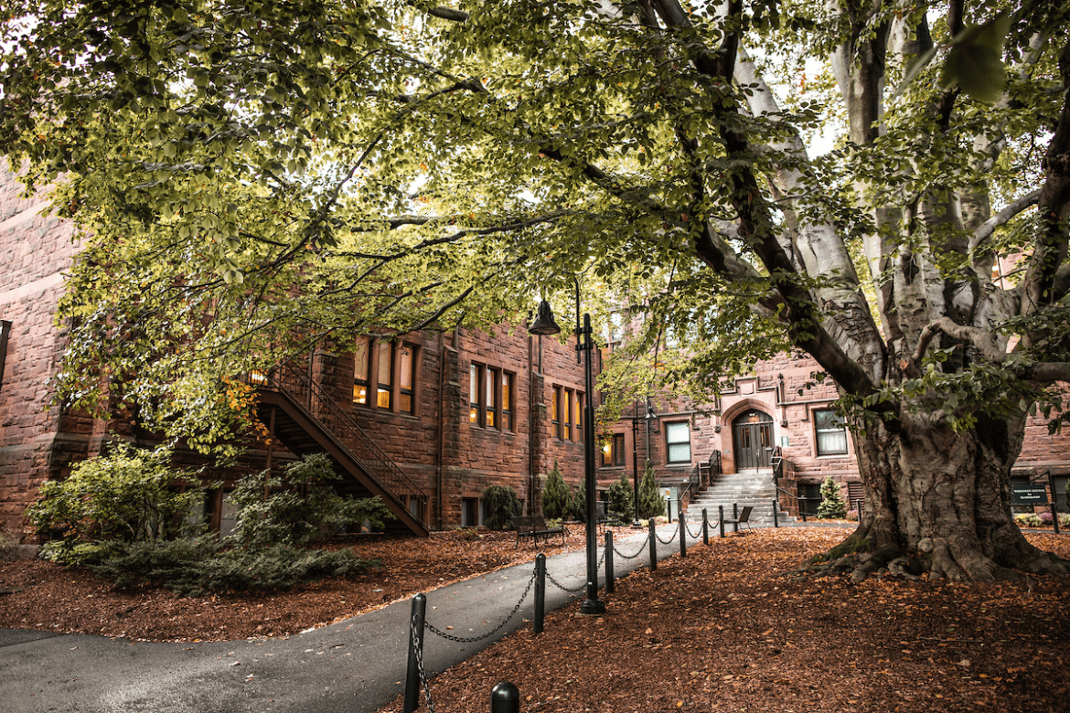 The entrance to Dwight Hall with the beloved beech tree in the courtyard