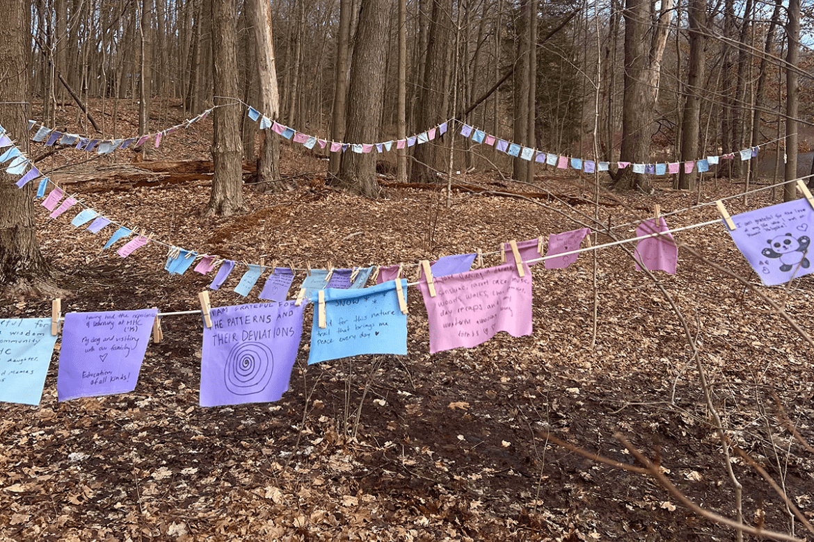 An installation of gratitude squares near Upper Lake