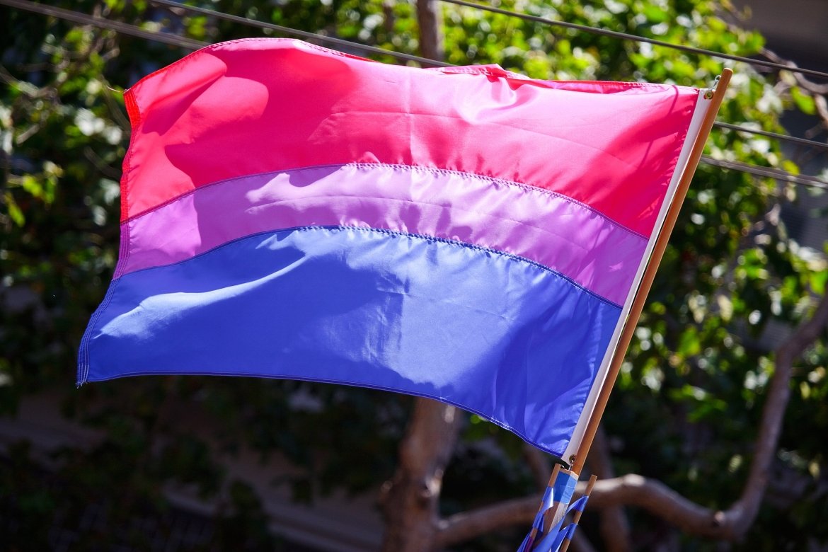 The bisexual pride flag. Image courtesy of Peter Salanki via Wikimedia Commons.