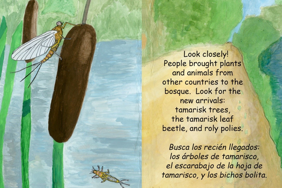 An interior page from Have you been to the bosque?