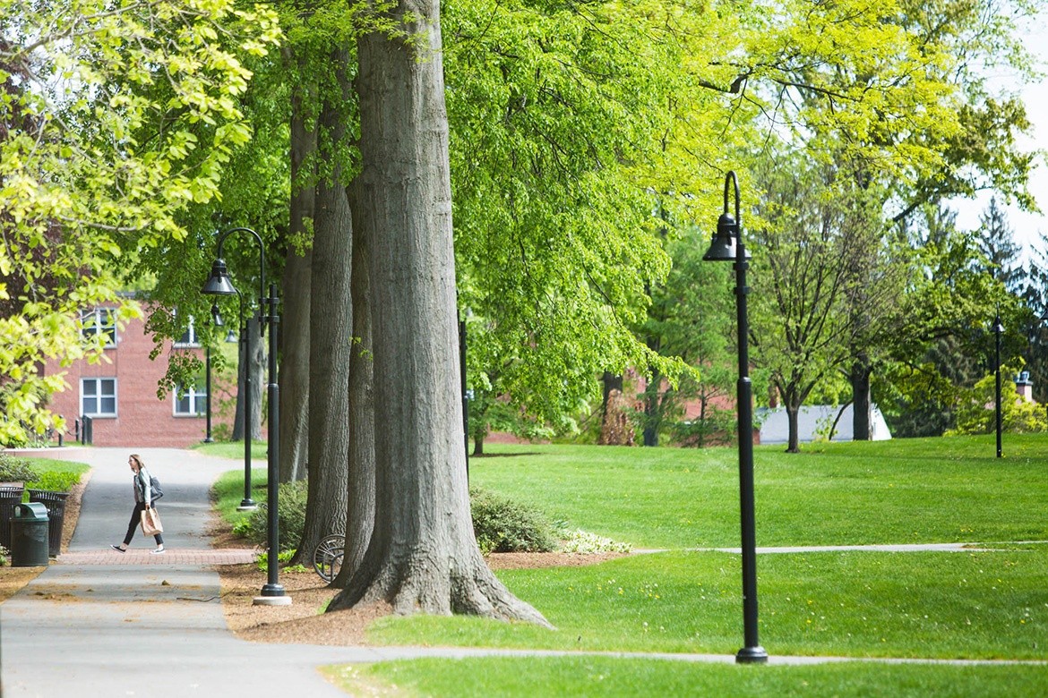 Campus beauty shot of the walkway lined with tall trees. Photo by Ryan Donnell, May 2017.