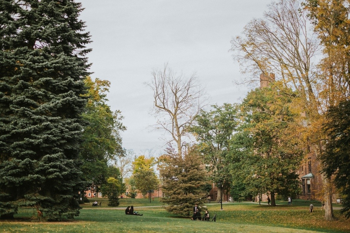 A tree-lined green on the Mount Holyoke College campus in fall.