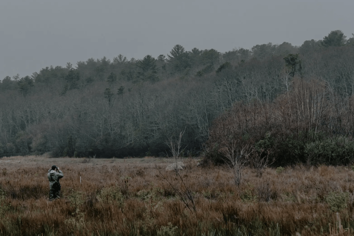 Professor Kate Ballantne looking through binoculars while standing in a cranberrgy bog
