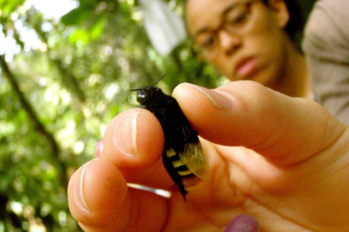 Kiana Lussier holding a firefly in Costa Rica
