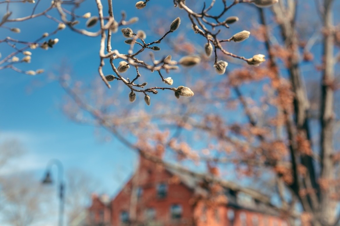 Mount Holyoke College Campus Beauty