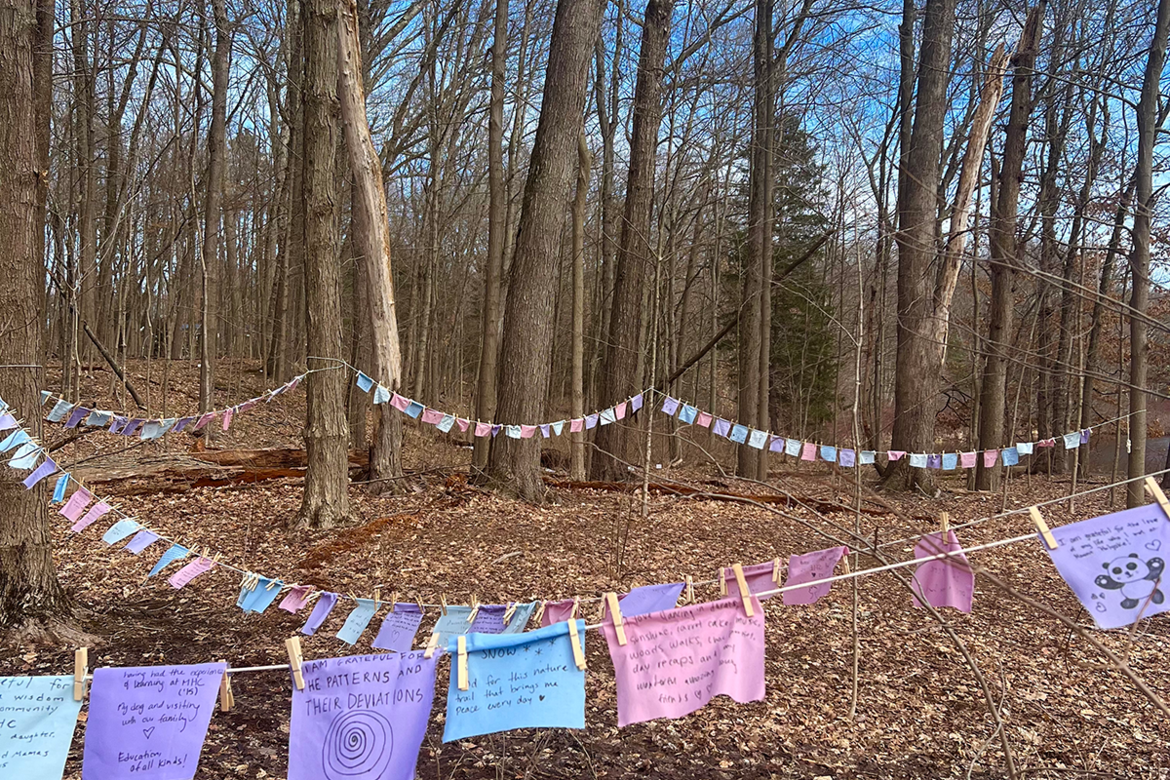 An installation of gratitude squares near Upper Lake