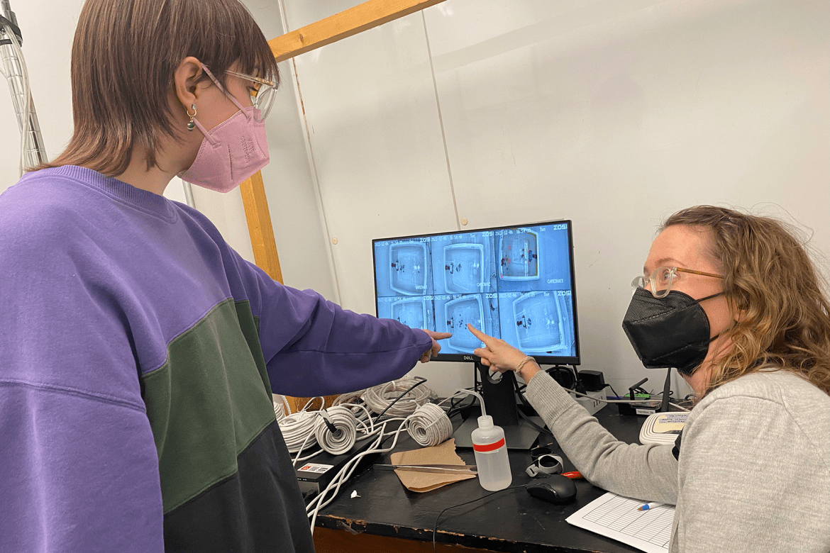 Jenny VanWyk works with a student on her research