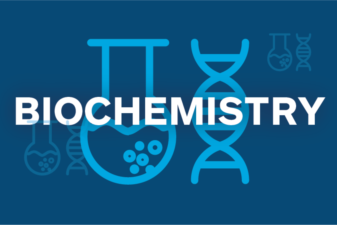 Spotlight on popular majors: Biochemistry | Mount Holyoke College