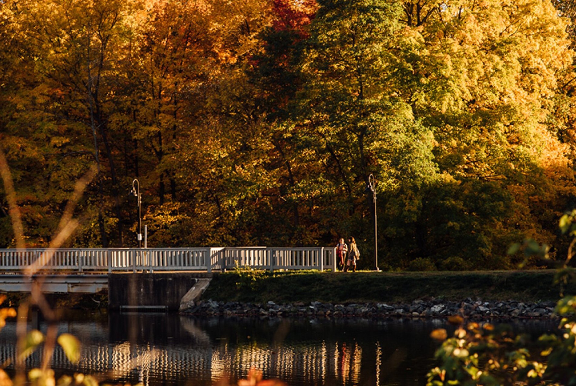 Five College Students Mount Holyoke College