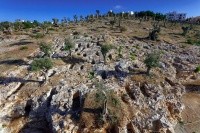 Punic Necropolis of Puig des Molins on the island of Ibiza. The new ancient DNA study sequenced human remains from this and other important Phoenician-Punic Archaeological sites. © Photo Raymar, MAEF