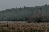 Professor Kate Ballantne looking through binoculars while standing in a cranberrgy bog