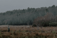Professor Kate Ballantne looking through binoculars while standing in a cranberrgy bog