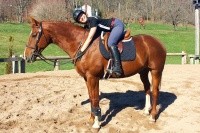 Maddy Skrak hugging a horse in the pen at the Equestrian Center