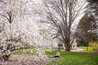 Student sits on the grass by a flowering tree in the spring, Mount Holyoke Campus.